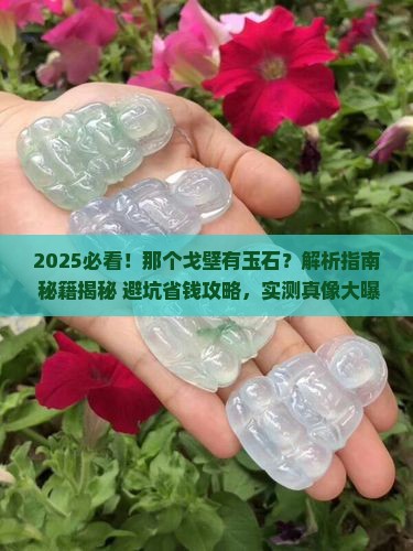 那个戈壁有玉石
