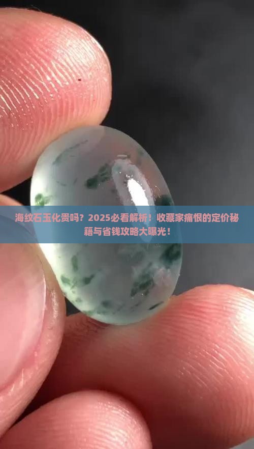 海纹石玉化贵吗