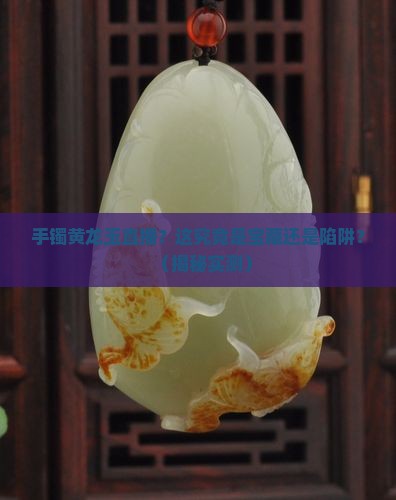 手镯黄龙玉直播