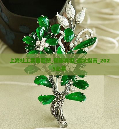 上海社工索要翡翠