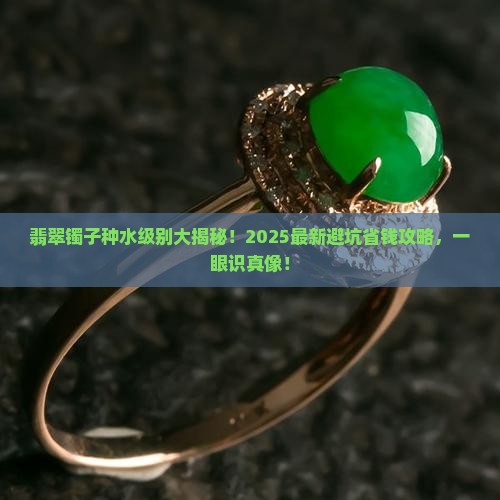 翡翠镯子的种水级别