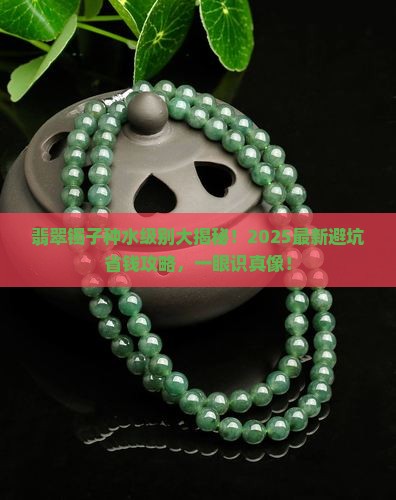 翡翠镯子的种水级别