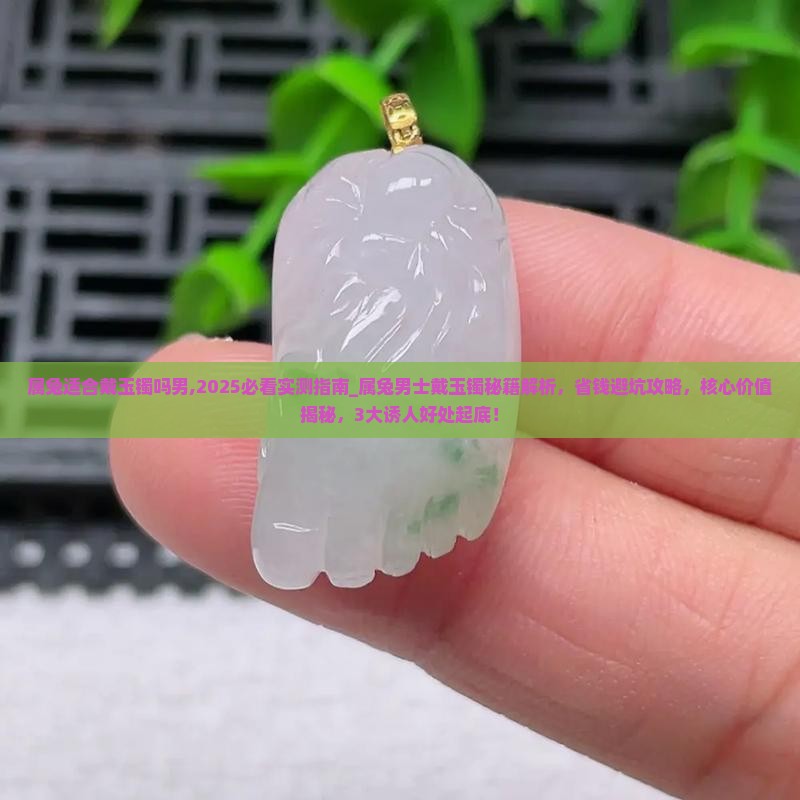 属兔适合戴玉镯吗男