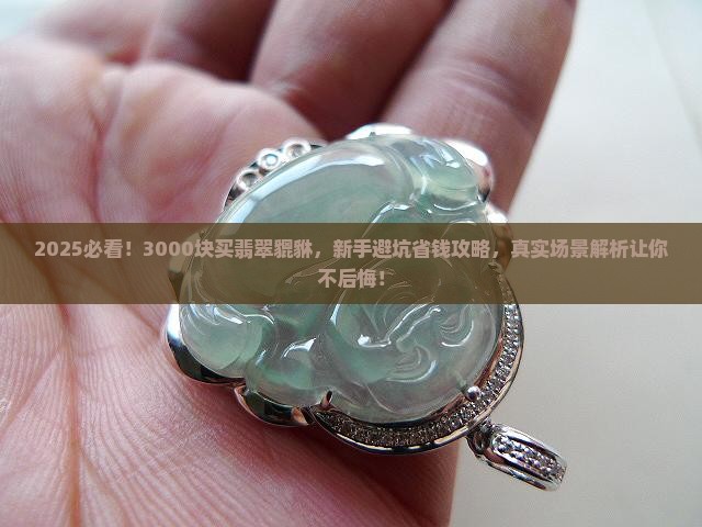 翡翠貔貅3000可以买什么样的