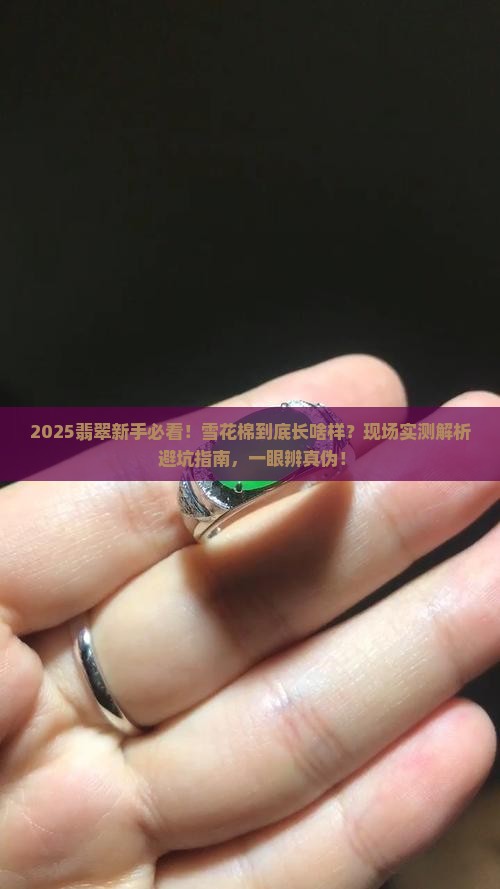 翡翠里面雪花棉是什么样子的