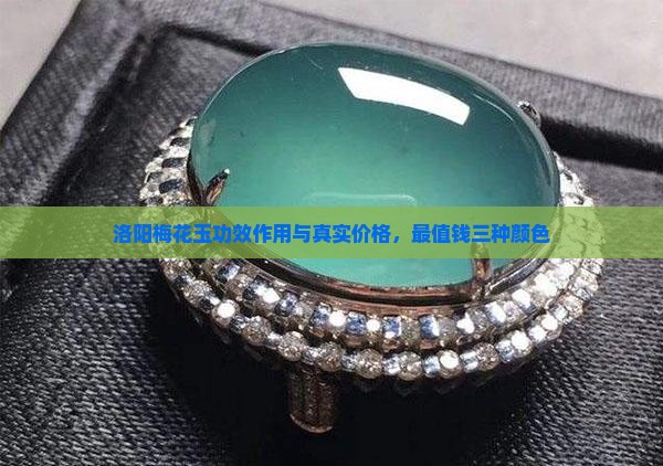 洛阳梅花玉