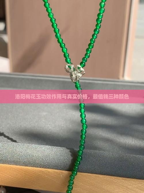 洛阳梅花玉