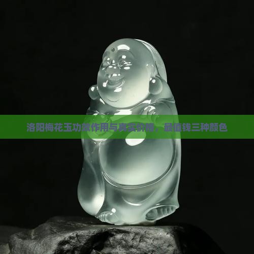 洛阳梅花玉