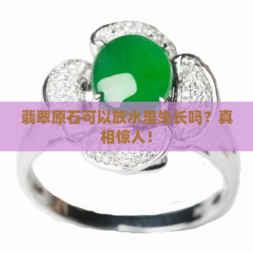 翡翠原石可以放水里生长吗