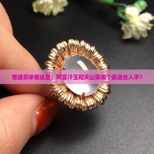 阿富汗玉和天山翠哪个好