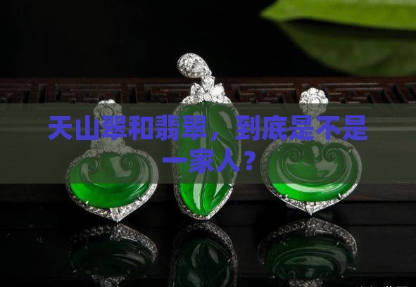 天山翠是翡翠吗