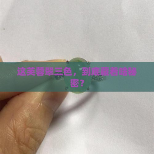 芙蓉翠三色