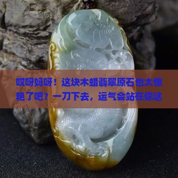 木蜡翡翠原石