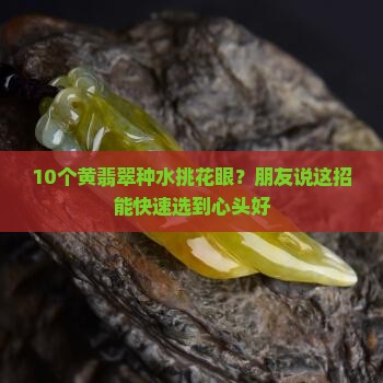 黄翡翠种水