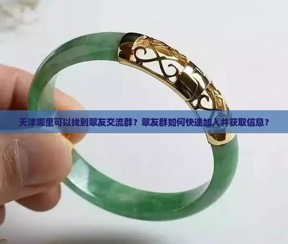 天津翠友群