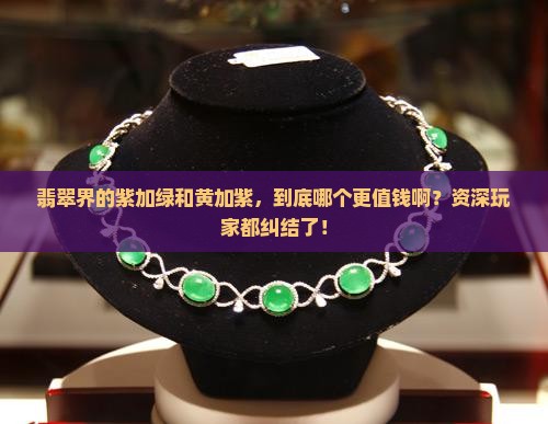 翡翠紫加绿和黄加紫哪个贵