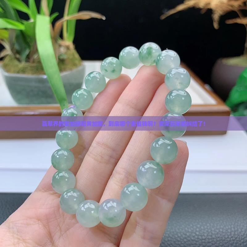 翡翠紫加绿和黄加紫哪个贵