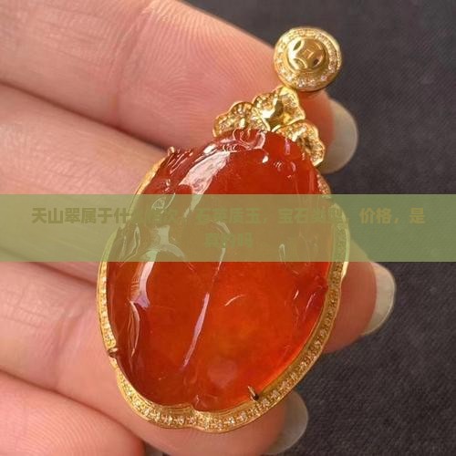 天山翠属于什么档次