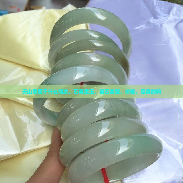 天山翠属于什么档次