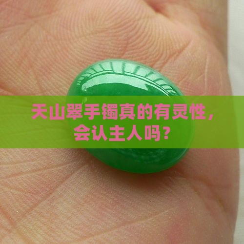 天山翠手镯会认主吗