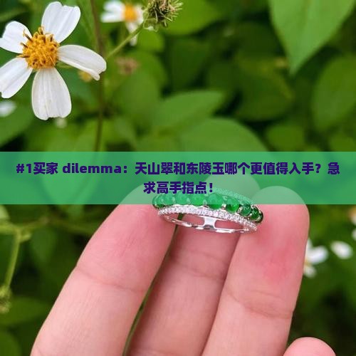 天山翠东陵玉哪个更好点