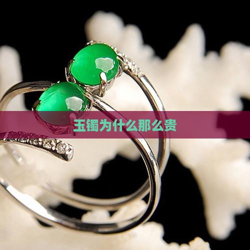 玉镯为什么那么贵
