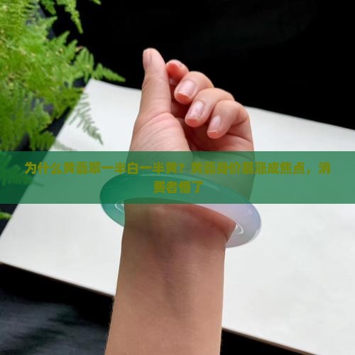 黄翡翠一半白一半黄