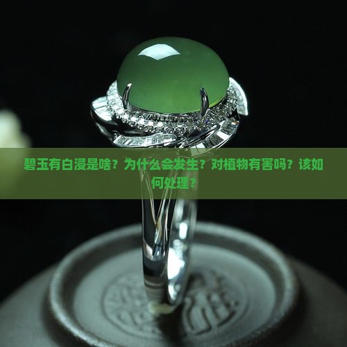 碧玉有白浸是啥