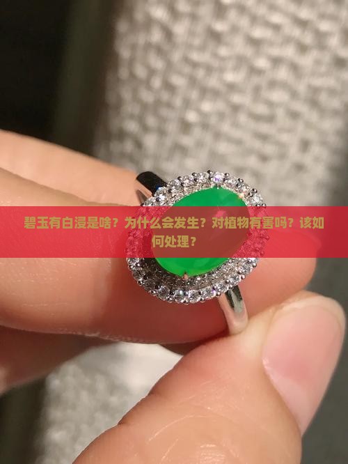 碧玉有白浸是啥