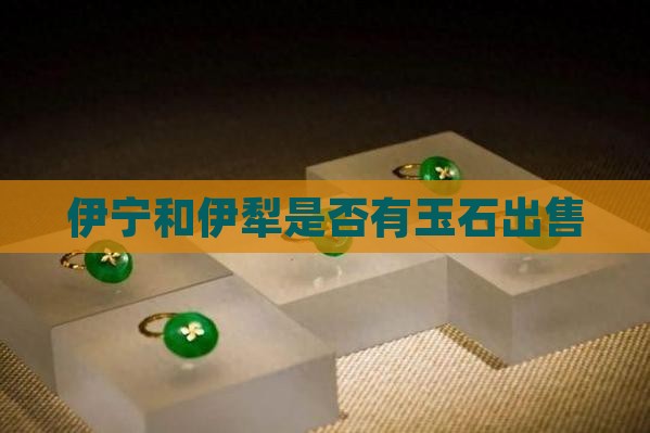 伊宁查县有没有玉石