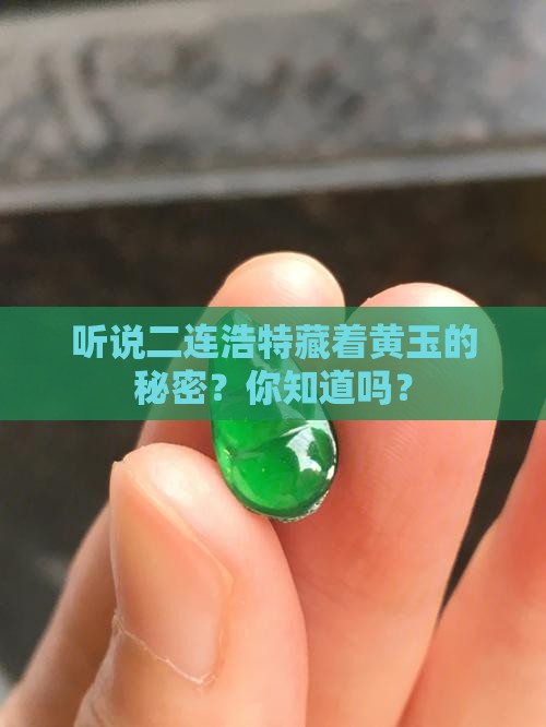 二连浩特有黄玉吗