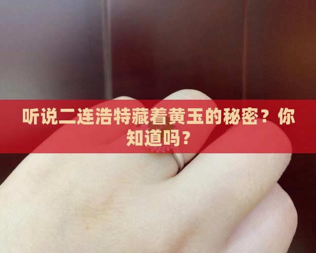 二连浩特有黄玉吗