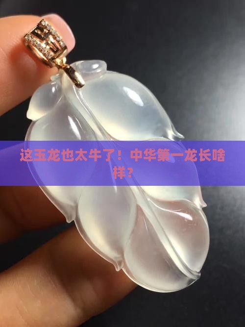 中华第一龙玉龙