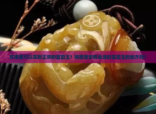 陕西西安哪里买活的蓝田玉