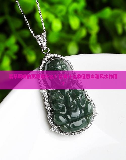 翡翠鹰嘴寓意