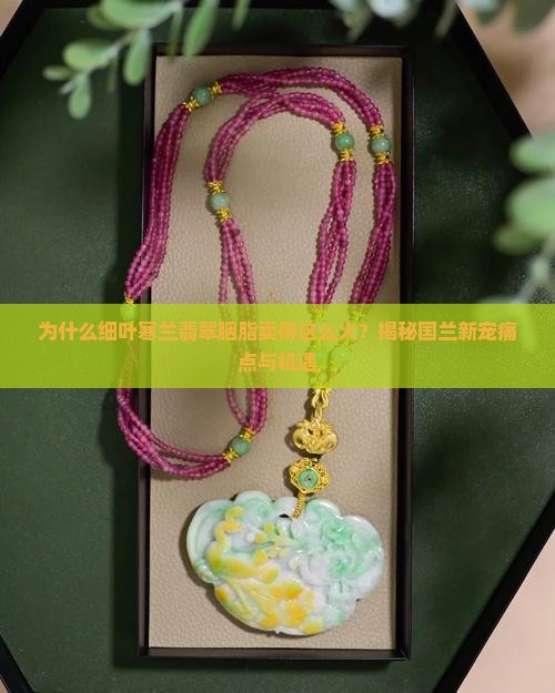 细叶寒兰翡翠胭脂