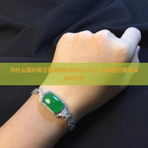 细叶寒兰翡翠胭脂
