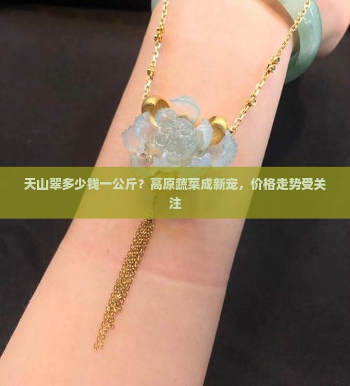 天山翠多少钱一公斤