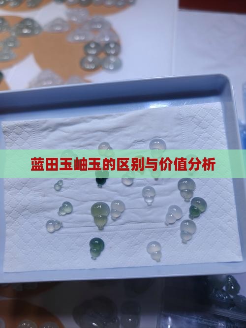 蓝田玉岫玉