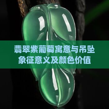 翡翠紫葡萄