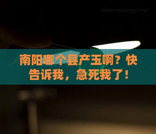 南阳哪个县产玉