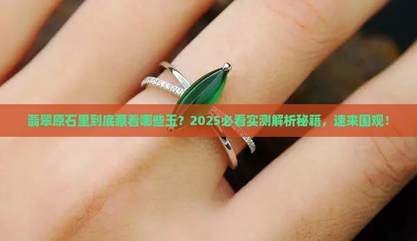 翡翠原石里有哪些玉