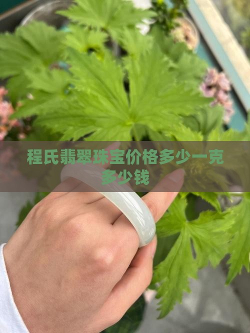 程氏翡翠珠宝价格多少