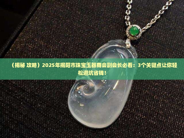 揭阳市珠宝玉器商会副会长