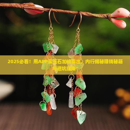 app买玉石加价卖出