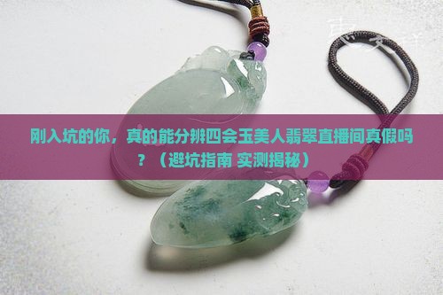 四会玉美人翡翠直播间