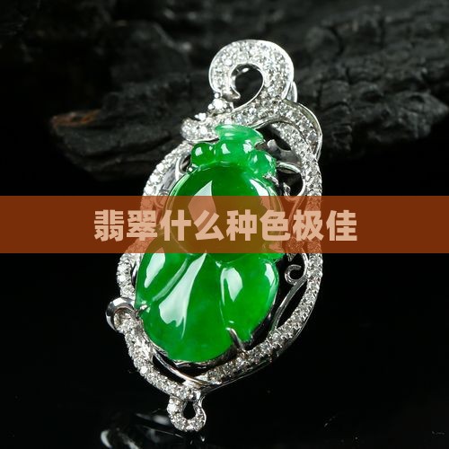 翡翠手镯种色极佳什么意思