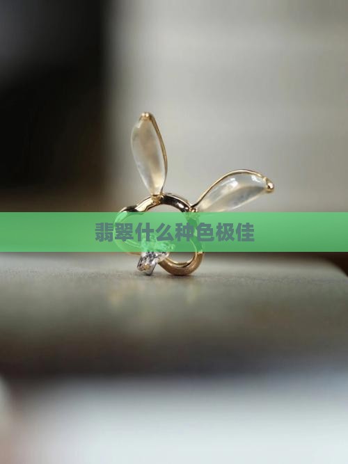 翡翠手镯种色极佳什么意思
