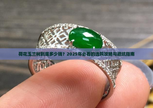 荷花玉兰树什么价格