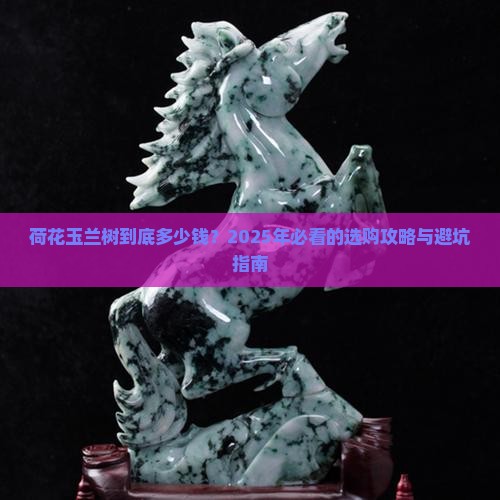 荷花玉兰树什么价格
